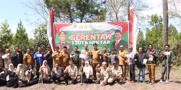 Polres Bener Meriah Bersama Forkopimda Plus Gelar Penanaman Jagung Secara Serentak