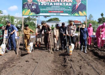 Kapolres Aceh Tengah Pimpin Tanam Jagung Serentak Sejuta Hektare