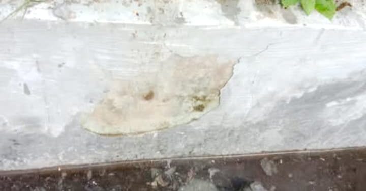 Proyek Rehabilitasi Irigasi Kenawat Seperti Tambal Sulam Diduga Tidak Sesuai