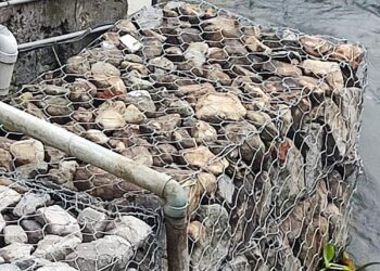 Pembangunan Bronjong Dan Turap Di Uning, Diduga Sangat Misterius Dan Tanpa Papan Informasi