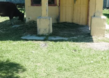 Dana Bos SD Negeri 14 Siihnara Diduga Salah dipergunakan