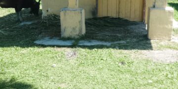 Dana Bos SD Negeri 14 Siihnara Diduga Salah dipergunakan