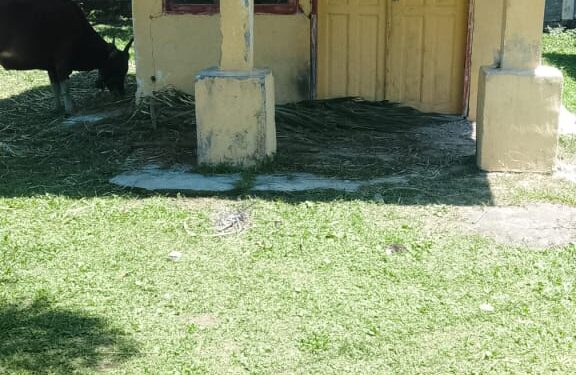 Dana Bos SD Negeri 14 Siihnara Diduga Salah dipergunakan