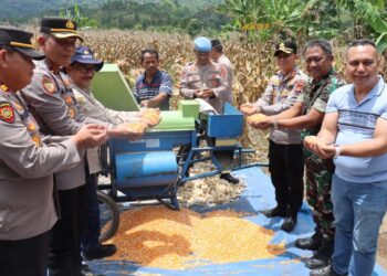 Panen Raya Jagung Kuartal III, Kapolres Aceh Tengah dan Forkopimda Dukung Pangan Nasional