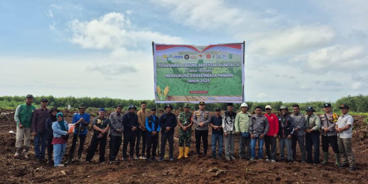 Penanaman Jagung Serentak di Teluk Meranti Dukung Swasembada Pangan 2025
