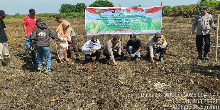 Dukung Ketahanan Pangan, Polsek Kuala Kampar Tanam Jagung di Lahan 2 Hektar