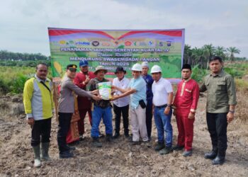 Polsek Ukui Tanam Jagung Bersama Petani, Dukung Swasembada Pangan 2025