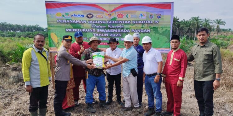 Polsek Ukui Tanam Jagung Bersama Petani, Dukung Swasembada Pangan 2025