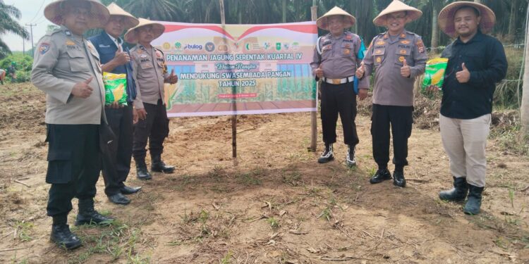 Dukung Swasembada Pangan, Polsek dan PT SLS Tanam Jagung di Lahan