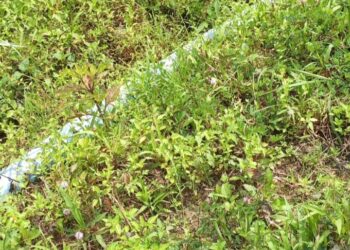 Diduga Pembangunan Saluran Air Bersih Kampung Blang Delem Tidak Sesuai RAB