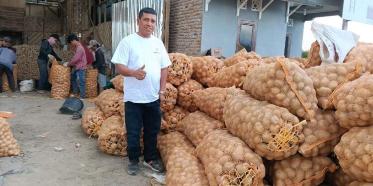 Pasca Bencana, Rumah Tani Nusantara Kirim 60 Ton Kentang Mendongkrak Harga Petani Gayo