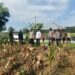 Sukseskan KPN 2026, Polsek Siak Hulu Dan Ponpes MIR Panen Jagung 1.3 Ton