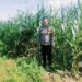 Personel Polsek Bangkinang Terus Cek Dan Pantau Perkembangan Jagung Di PT Simas Sawit Aliantan