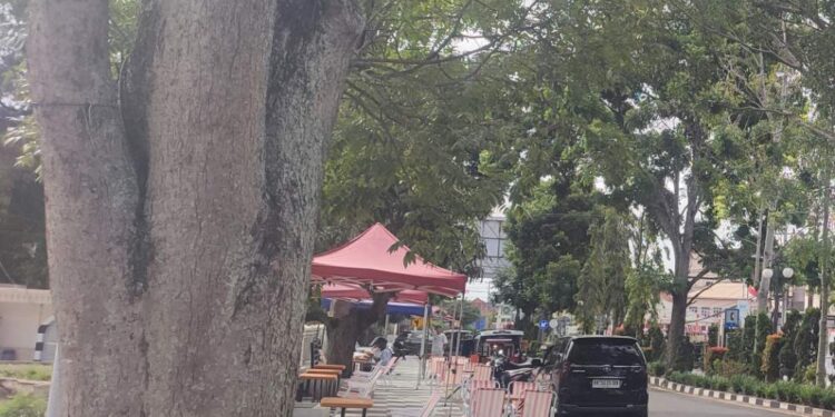 Jalan Raya Dan Trotoar, Sarana Penghubung Menjadi Pusat Dagangan, Siapa Diuntungkan?