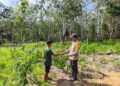 Polsek Langgam Monitoring Kebun Cabai Rawit Warga Dukung Program Ketahanan Pangan