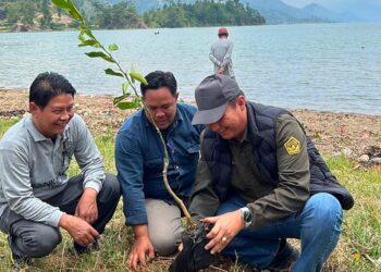 Sekda Aceh Tengah Mursyid Ajak Masyarakat Rawat Pohon Demi Kelestarian Danau Lut Tawar