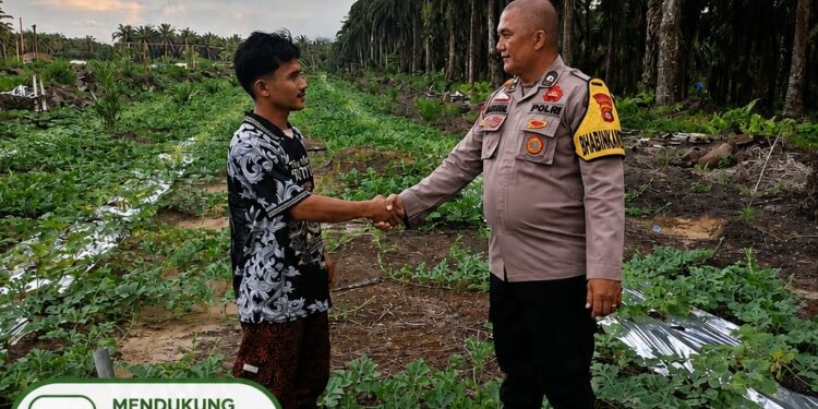 Polsek Pangkalan Lesung Cek Pekarangan Bergizi Dukung Ketahanan Pangan