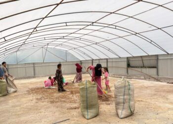 Dry House Tenaga Surya Perkuat Usaha Perempuan Petani Kopi Gayo Program KPM 2026
