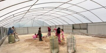 Dry House Tenaga Surya Perkuat Usaha Perempuan Petani Kopi Gayo Program KPM 2026